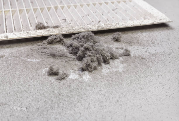 Best Commercial Air Duct Cleaning  in Buhl, ID