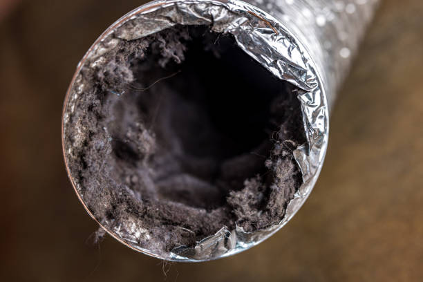 Best Ventilation Cleaning Services  in Buhl, ID