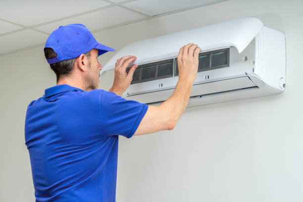 Best Air Duct Sanitizing Services  in Buhl, ID